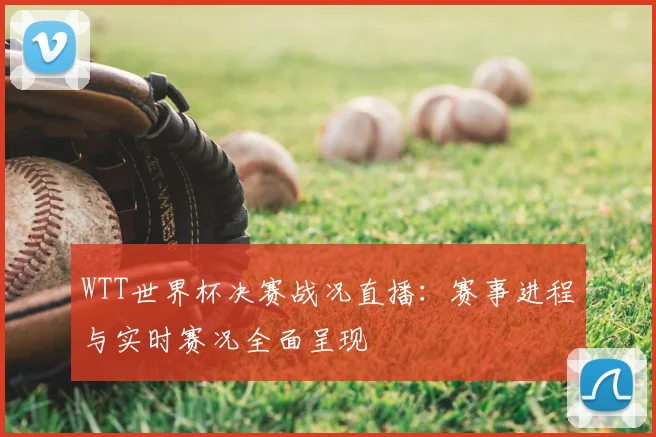 WTT世界杯决赛战况直播:赛事进程与实时赛况全面呈现