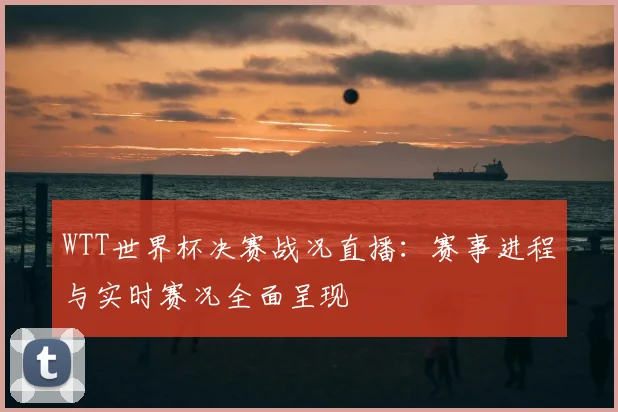 WTT世界杯决赛战况直播:赛事进程与实时赛况全面呈现