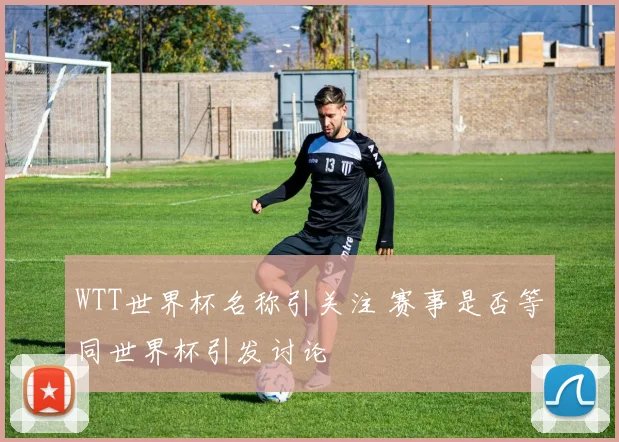 WTT世界杯名称引关注 赛事是否等同世界杯引发讨论
